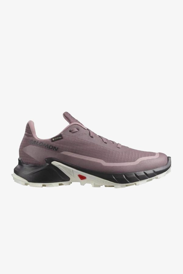 کفش دویدن اورجینال برند Salomon مدل Alphacross 5 GTX W کد 757969517